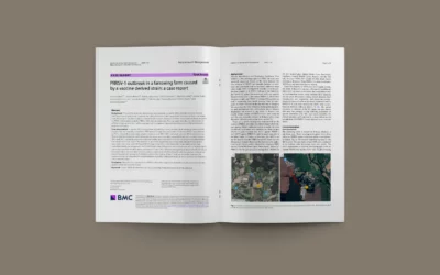 Probable reversion to virulence of a PRRSV-1 MLV vaccine strain