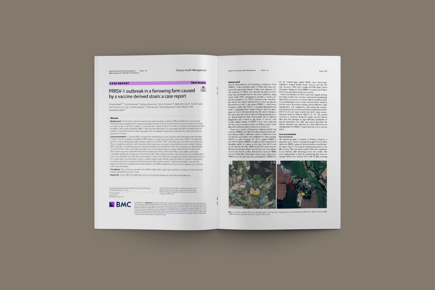 Probable reversion to virulence of a PRRSV-1 MLV vaccine strain